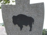 Chugwater's Buffalo